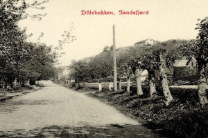 Bilde av DØLEBAKKEN - SETT FRA SYD